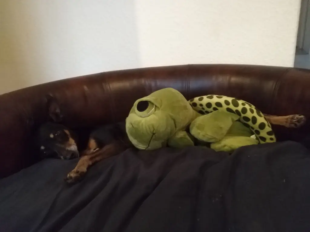 Image from Caysie
