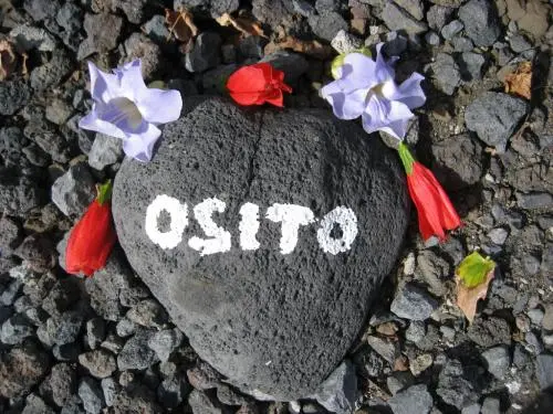 Image from Oskar/Osito