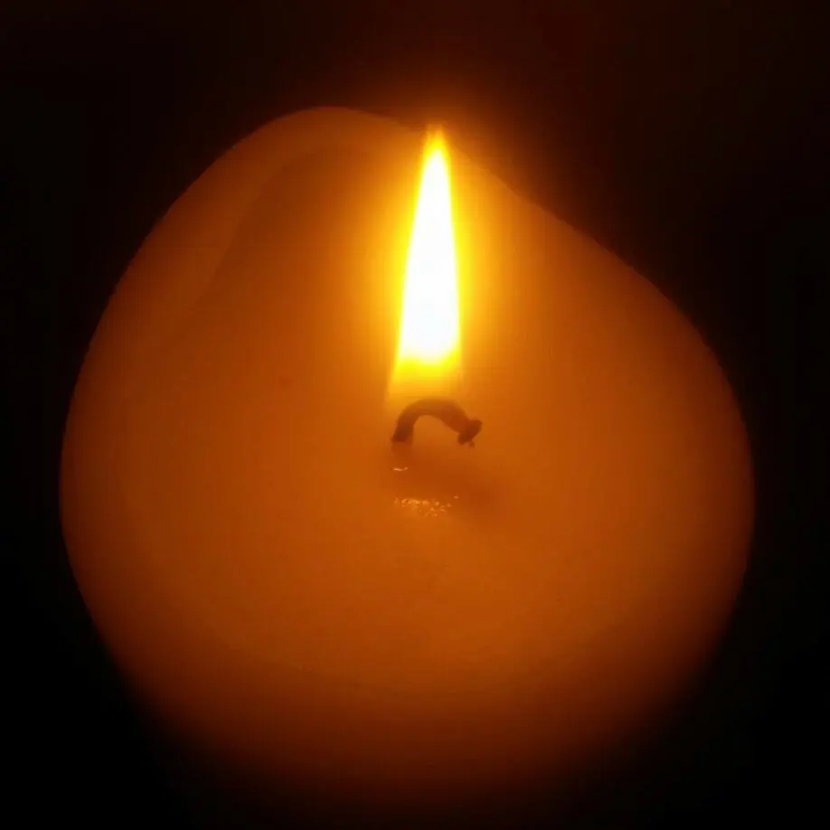 Condolence image of Elvira