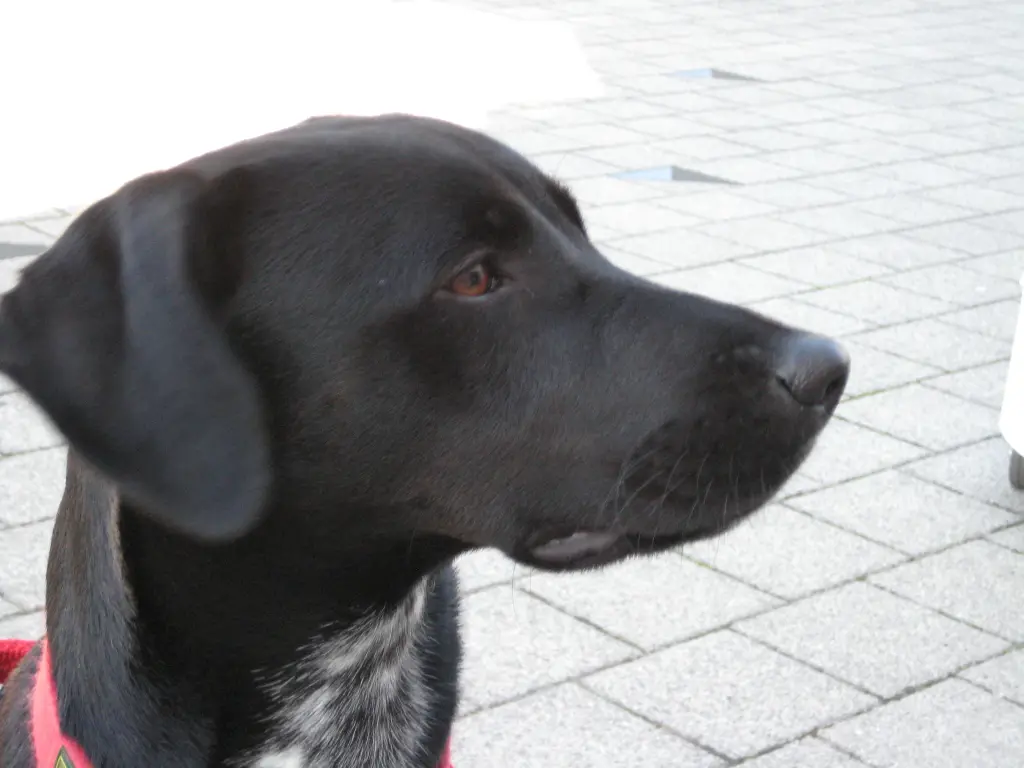 Bild von Paula