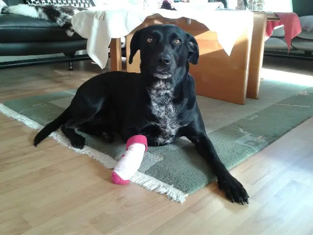 Bild von Paula