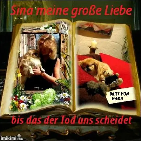 Image from geliebte Sina, Tinka & die Nagerchen