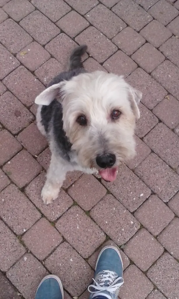 Bild von Lennard