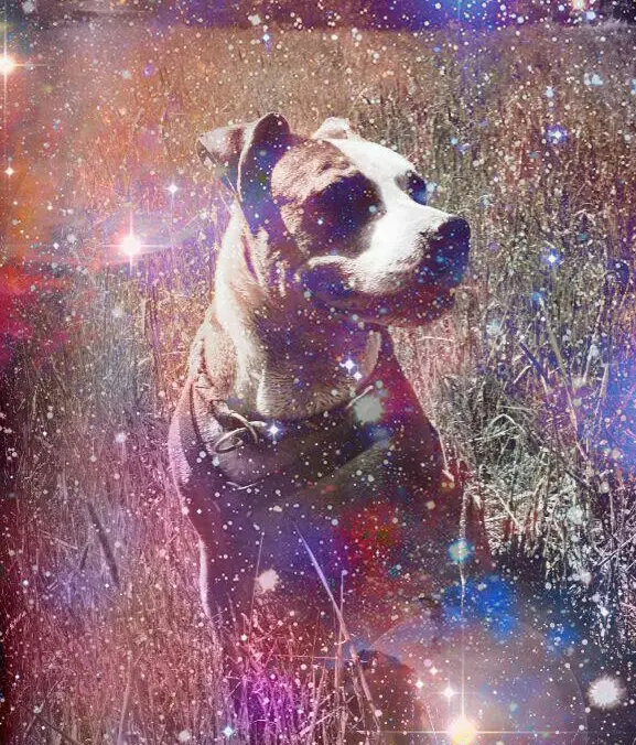 Bild von Xena