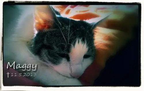 Image from Maggy