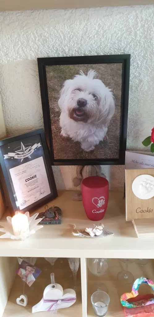 Condolence image of Unbekannt