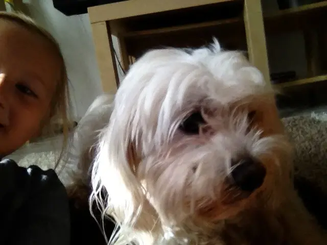 Image from Cookie