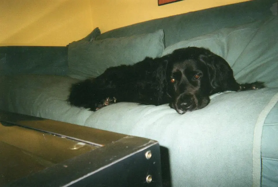 Image from Jeanne "Püppi"