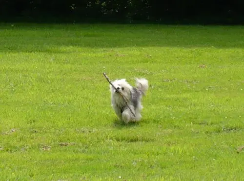 Image from Daisy my big love:*