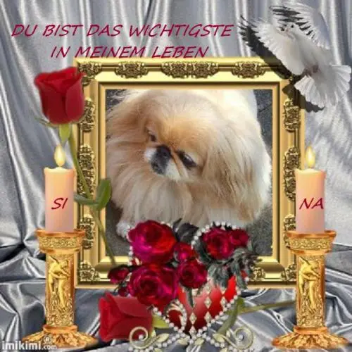 Image from ღSINA ღ  , Tinka & unsere Nager