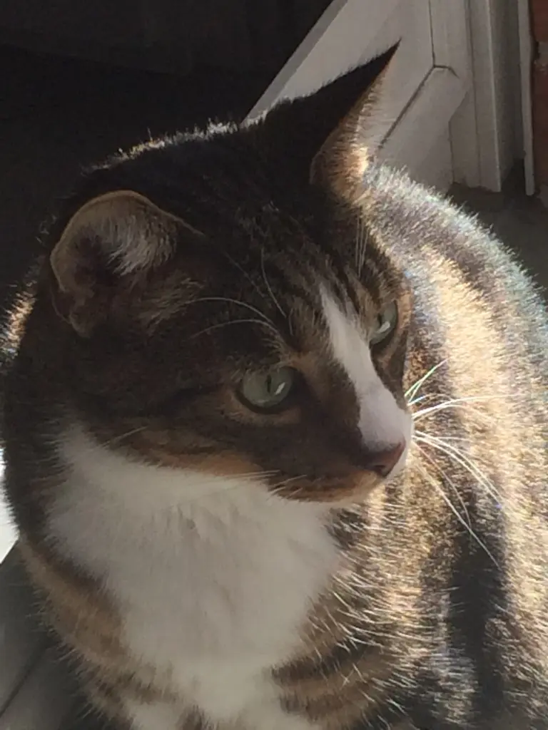 Condolence image of Heiko