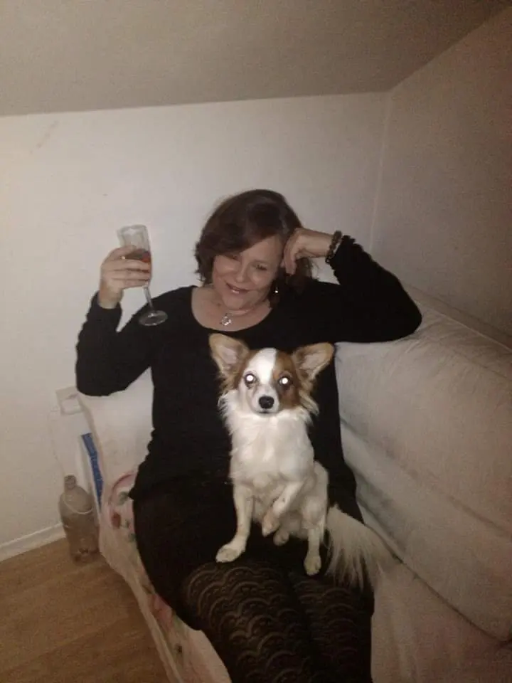 Image from Merlin