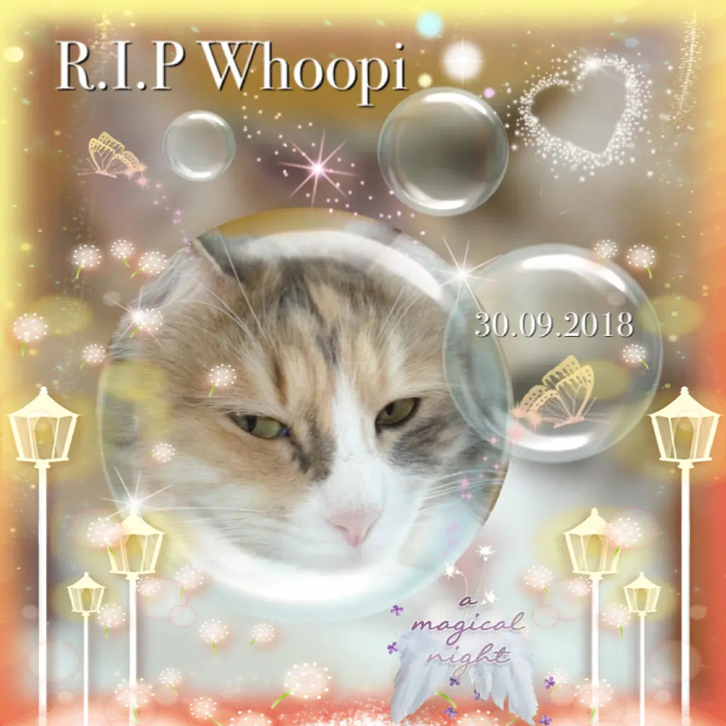 Andachtsbild von Kerstin