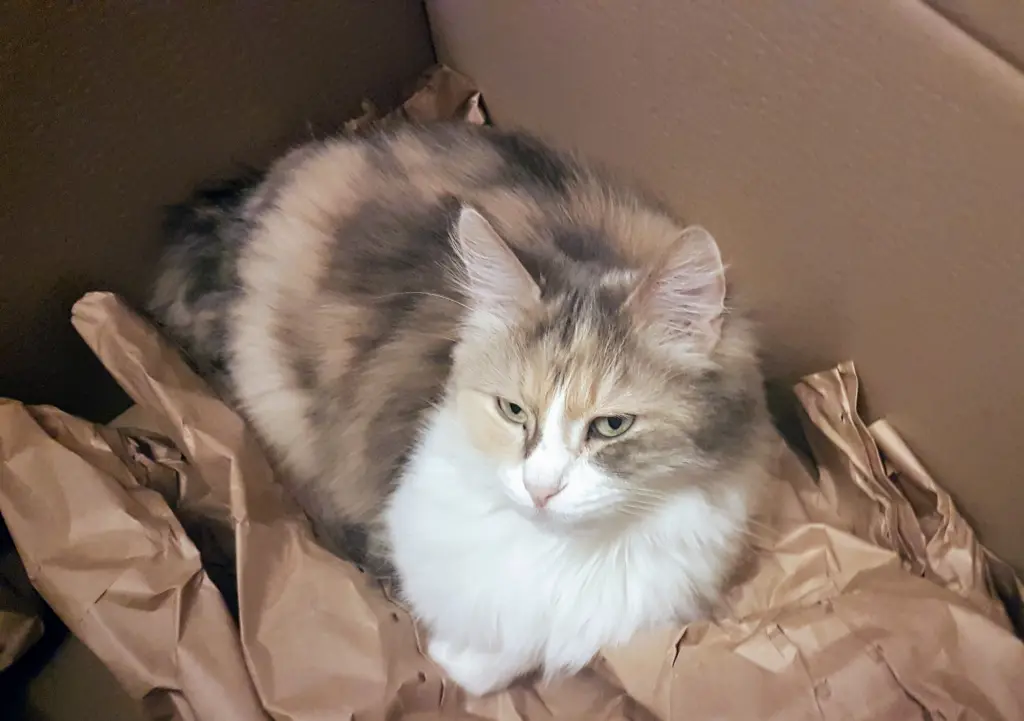 Andachtsbild von Christiane