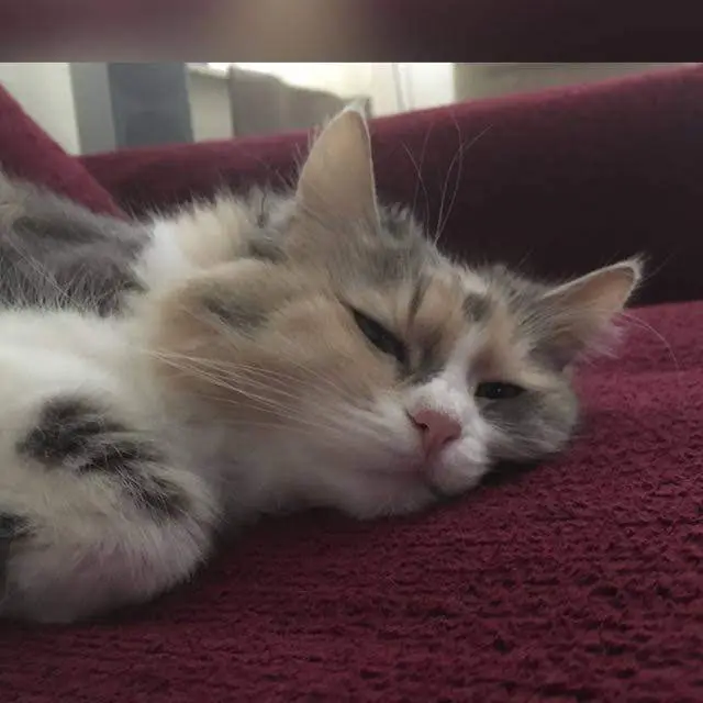 Andachtsbild von Deine Dosis