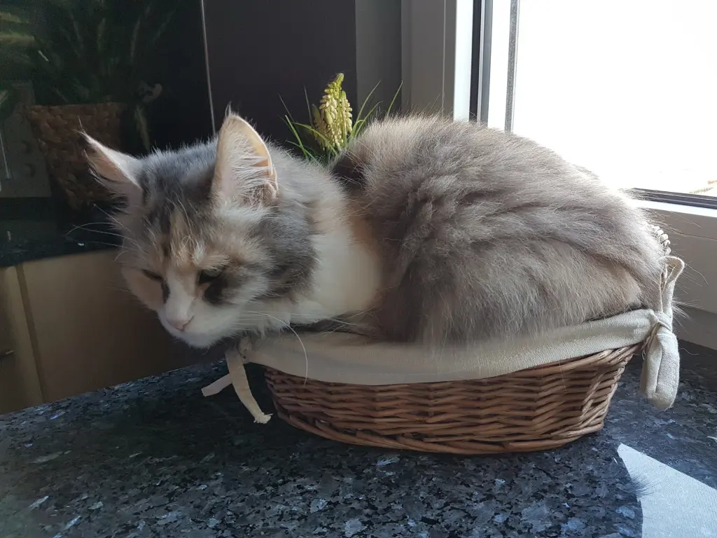 Andachtsbild von Christiane