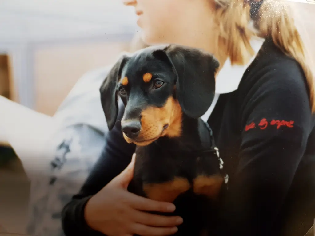 Condolence image of Tanja Herbertz