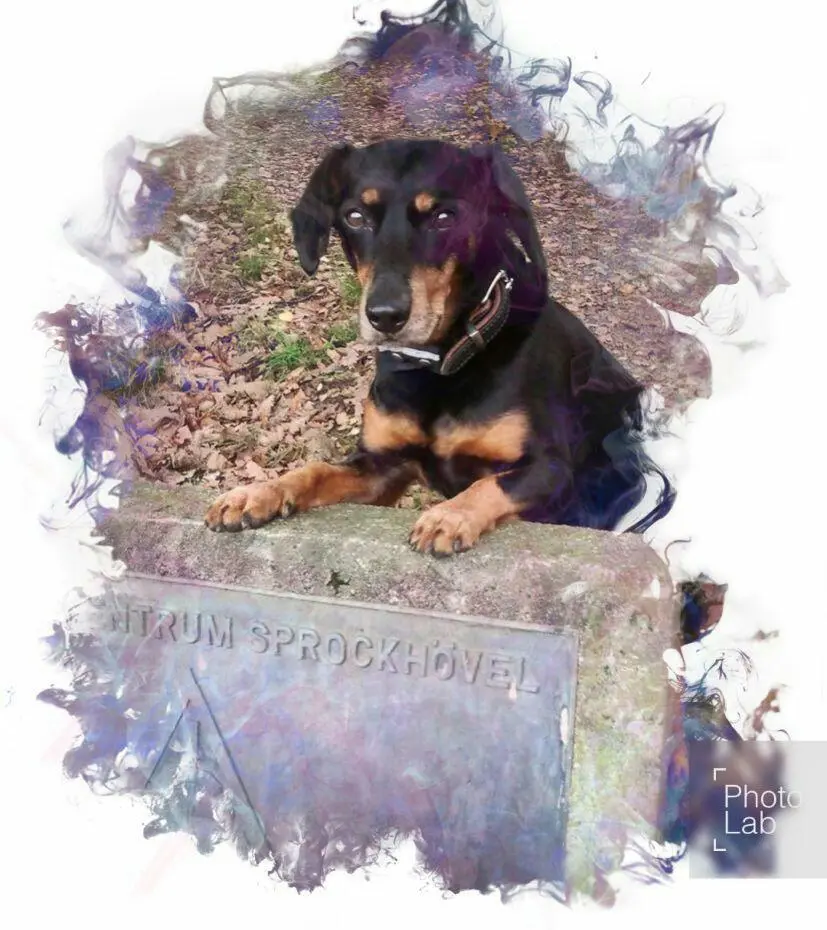 Image from Kira