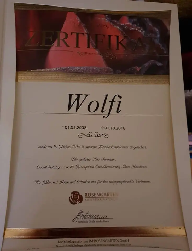 Image from Wolfi