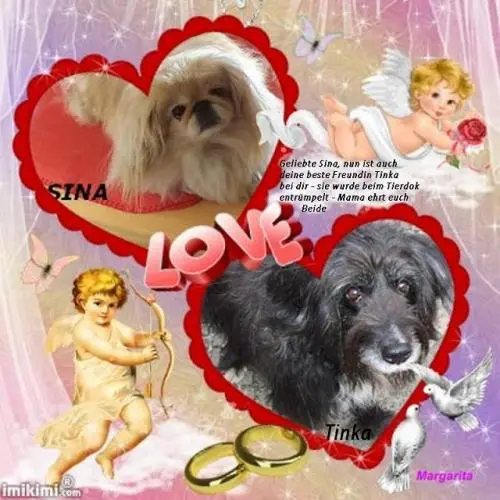 Image from geliebte Sinamaus mit ihrer Freundin Tinka