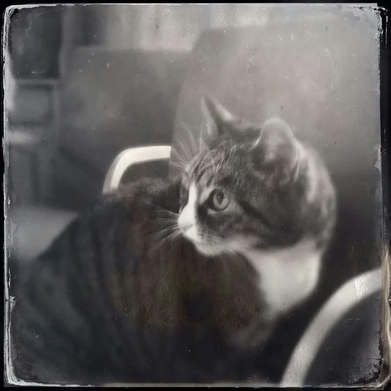 Andachtsbild von Eva mit Candy im Herzen