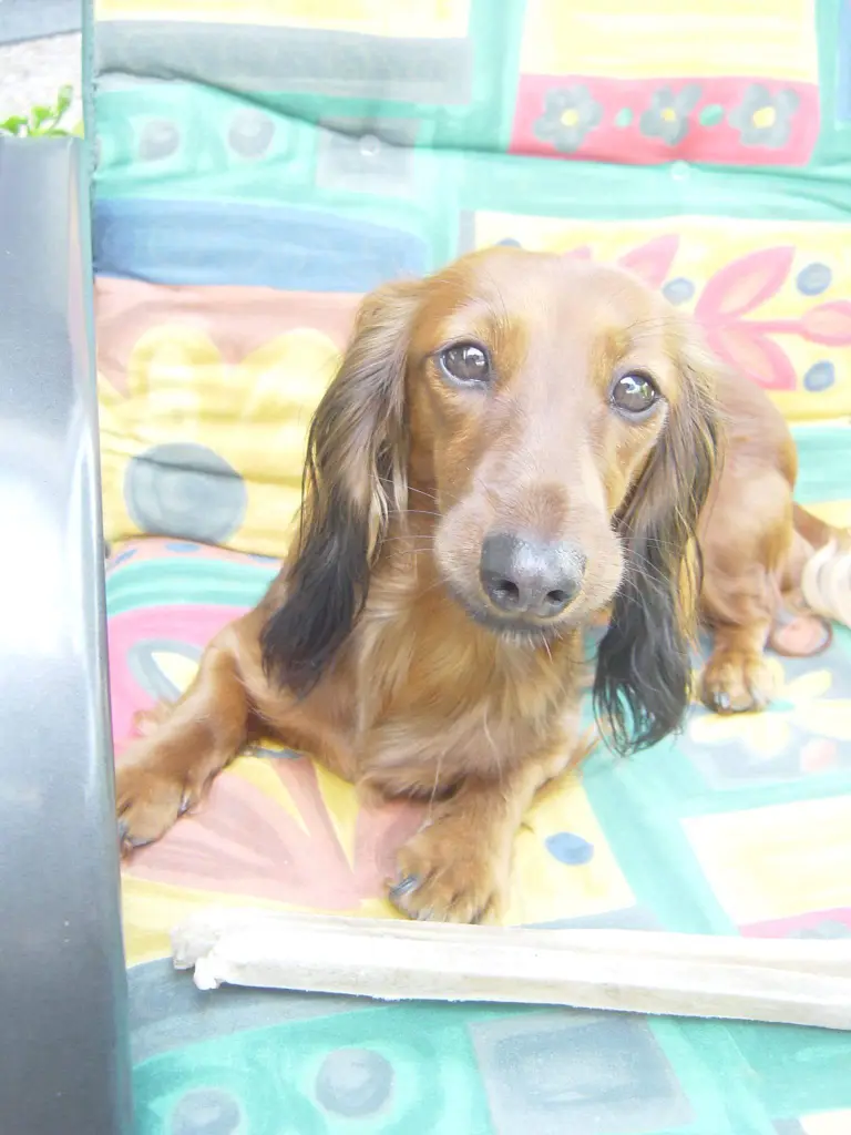 Andachtsbild von Nathalie