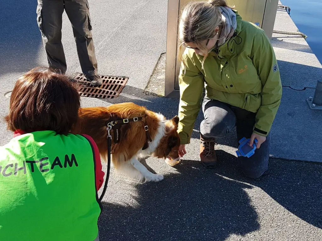Andachtsbild von Katharina mit Merle im Herzen