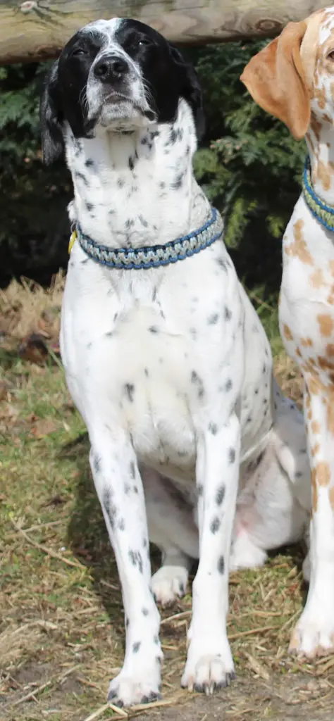 Andachtsbild von Sandra