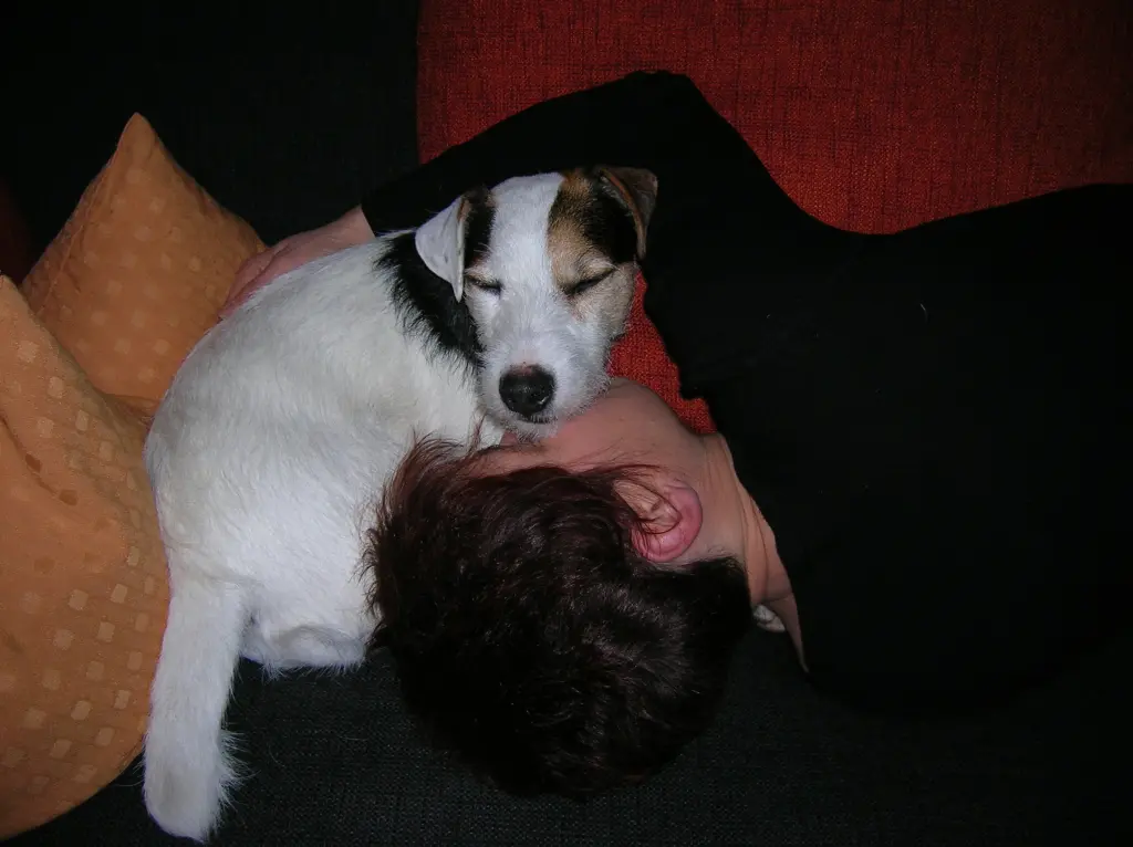 Andachtsbild von Kerstin mit Gismo im Herzen