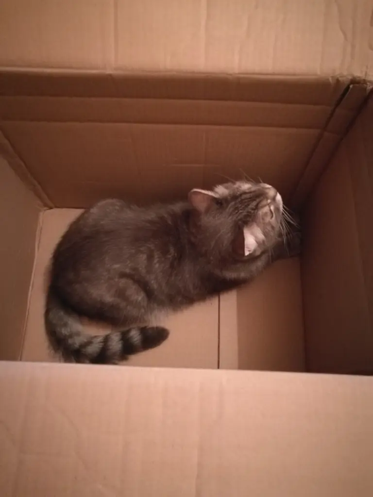 Condolence image of Dagmar mit Teddy im Herzen 