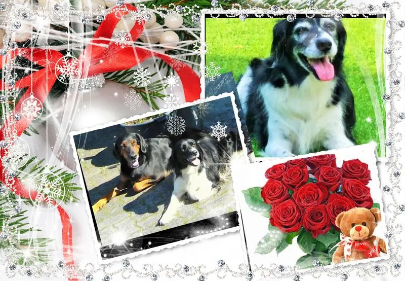 Condolence image of Weihnachtspost