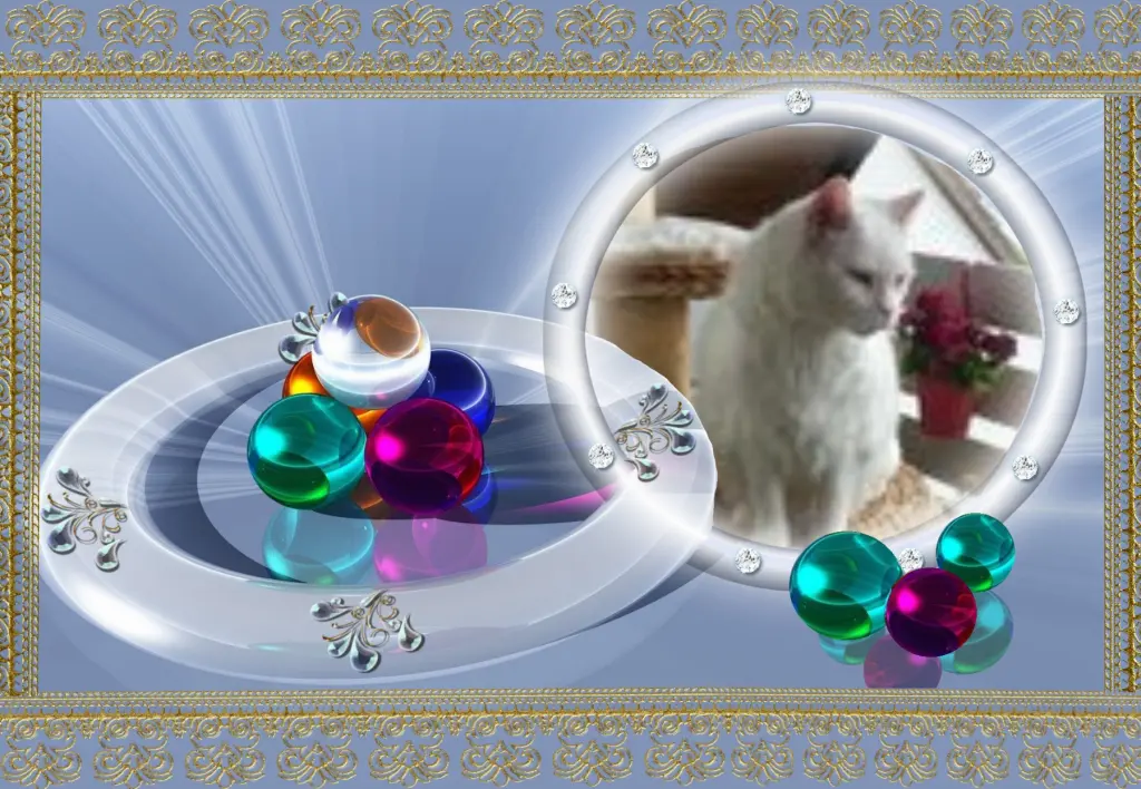 Condolence image of Klaudia mit Misiu❤❤❤Ganz Tief im Herzen❤