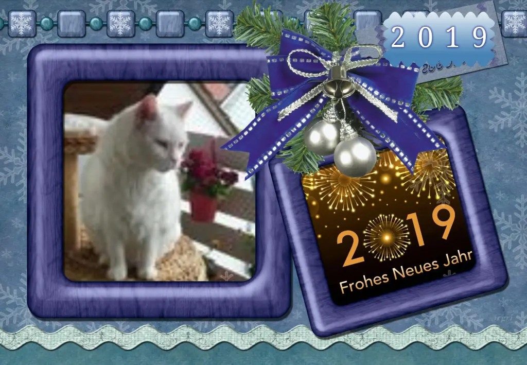 Condolence image of Klaudia mit Misiu❤❤❤Ganz Tief im Herzen❤