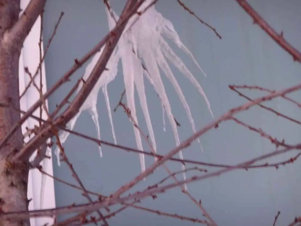 Condolence image of Uschi mit Seelenkatzen Jojo und Merlin