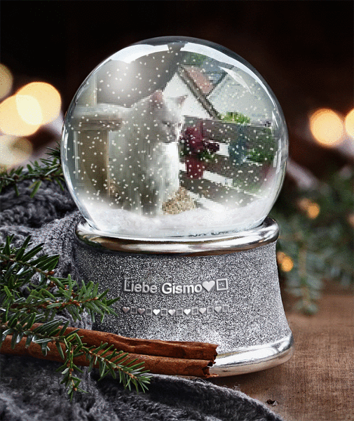 Condolence image of Liebe Gismo❤️