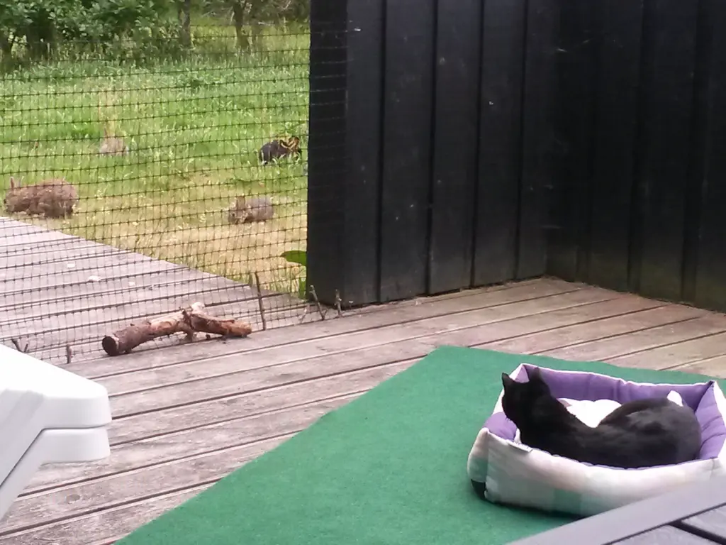 Condolence image of Anja mit Joy im Herzen ❤