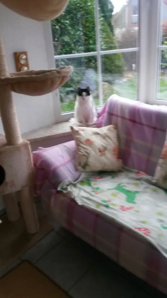 Condolence image of Eike und Edeltraud mit Mulle Miezi und Jonny tief im Herzen