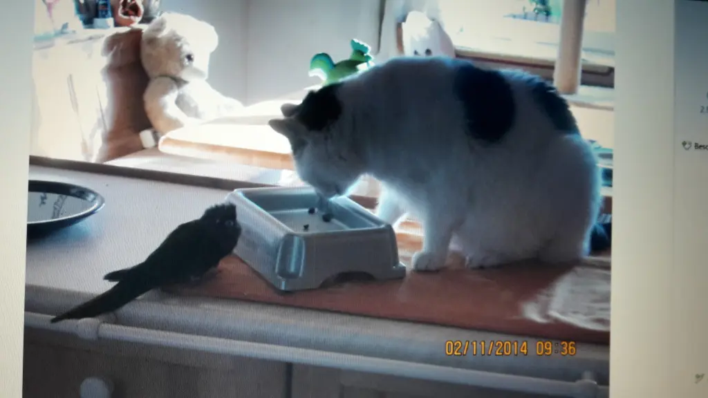 Condolence image of Eike und Edeltraud mit Mulle, Miezi und Jonny tief im Herzen 