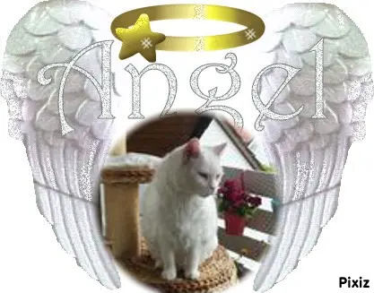 Condolence image of ❤️❤️❤️