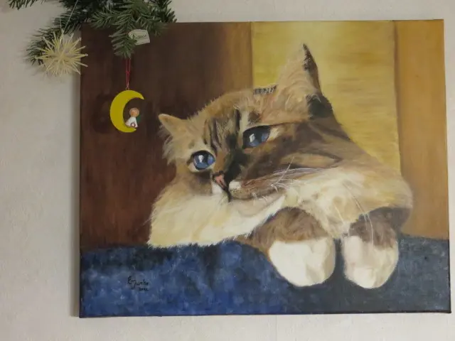 Condolence image of Uschi mit Seelenkatzen Jojo und Merlin