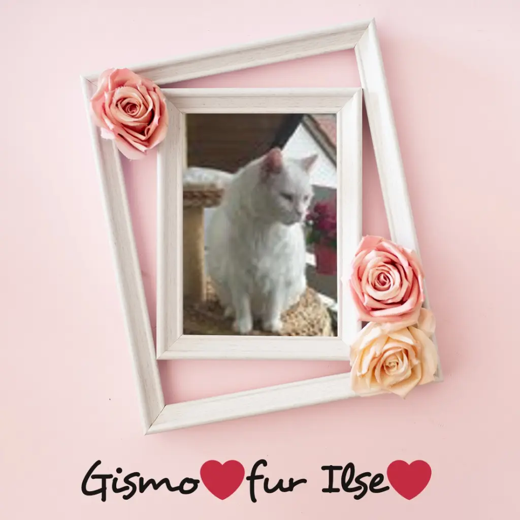 Condolence image of ❤️❤️❤️