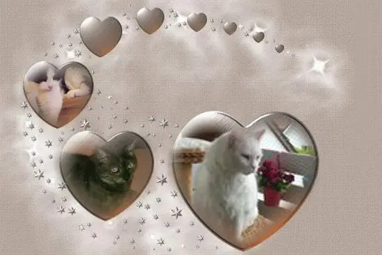 Condolence image of ❤️❤️❤️