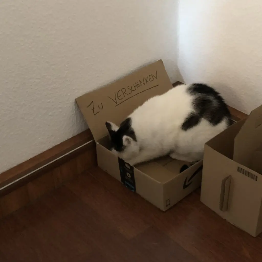 Condolence image of Susanne mit Cedric im Herzen 