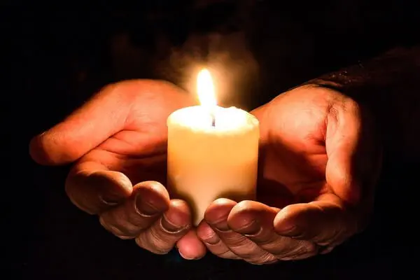 Condolence image of Ein Rosenstrauss für Gismo, Fee und Minna