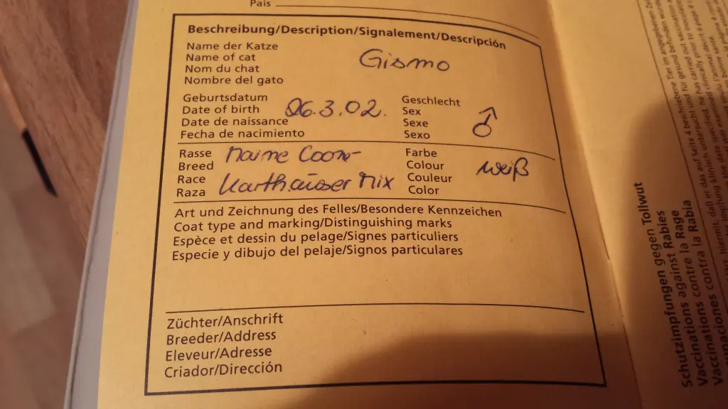 Condolence image of deiner Ilse in Liebe