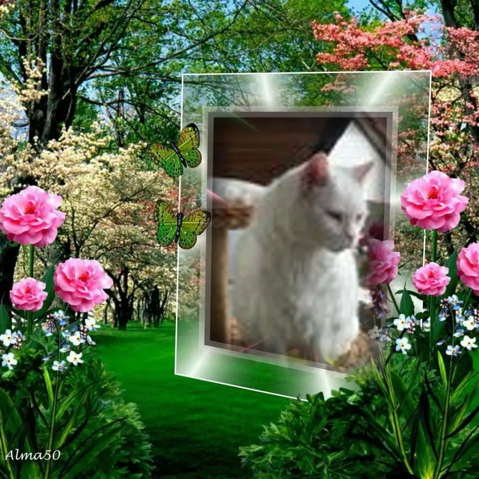 Condolence image of ❤️❤️❤️