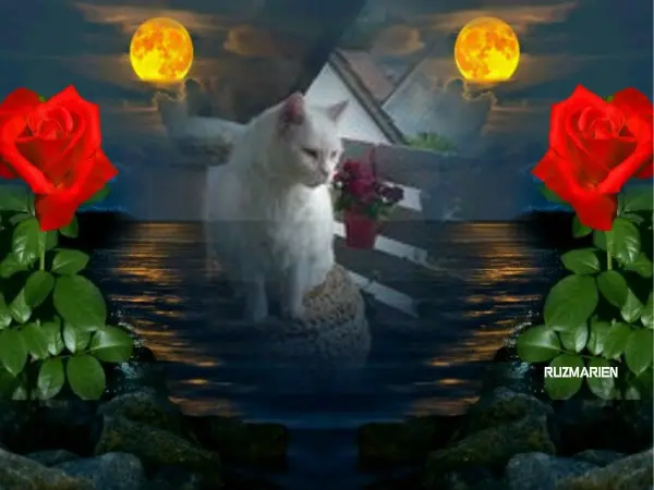 Condolence image of ❤️❤️❤️