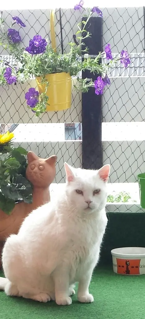 Condolence image of deiner Ilse in Liebe