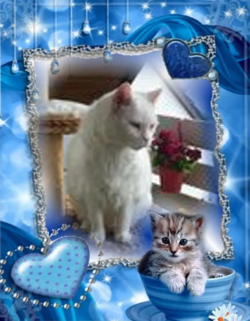 Condolence image of ❤️❤️❤️