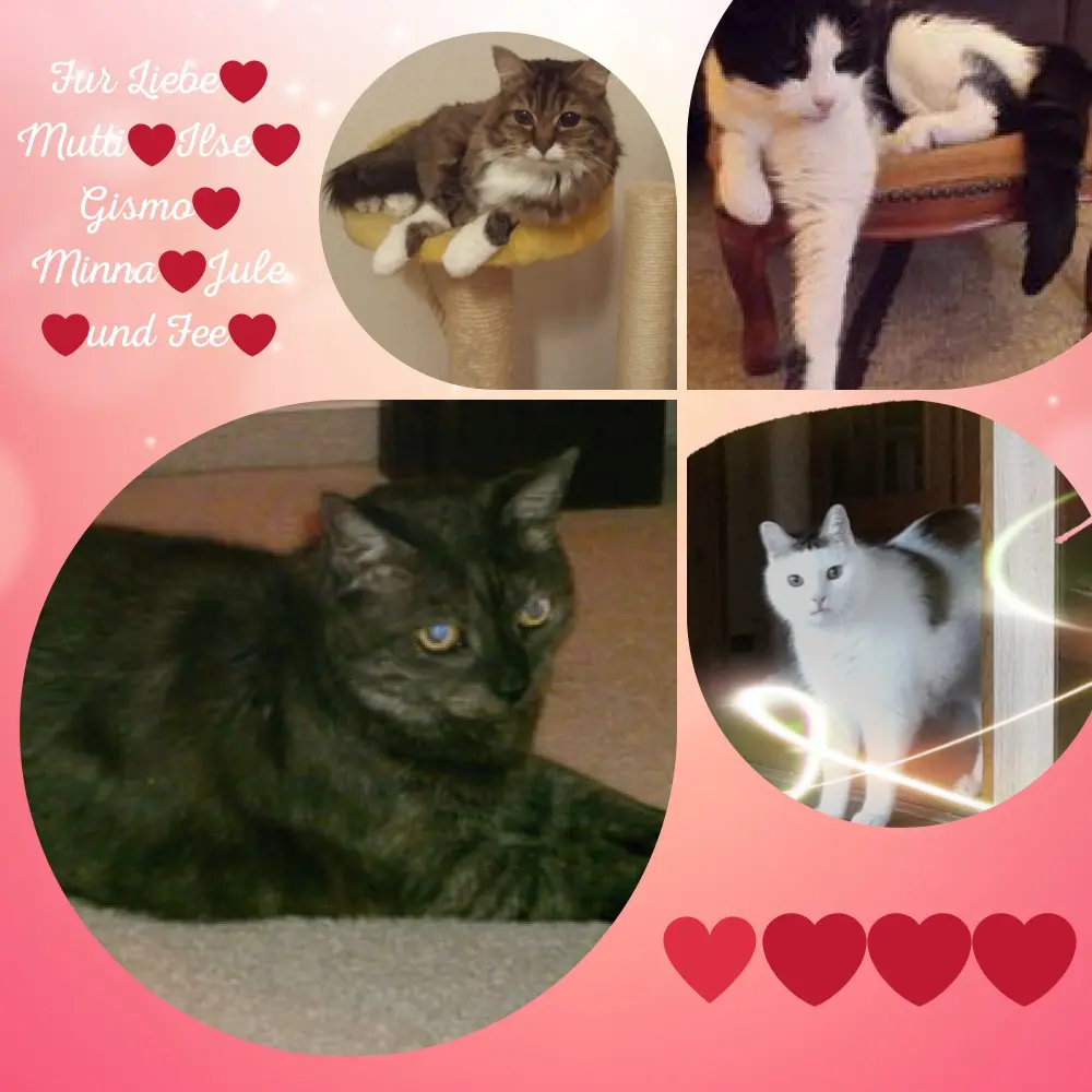 Condolence image of ❤️❤️❤️